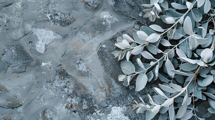 Silver Leaves on Textured Stone: An artistic arrangement of delicate silver leaves gracefully drapes across a rugged, textured stone surface.