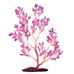 Obraz premium Vibrant coral-like plant in a minimalist pot against a plain background isolated on transparent background