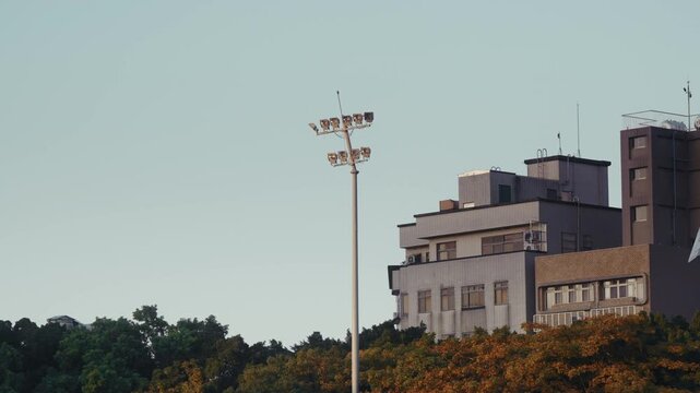 Modern stadium floodlights with green trees and architectural details, blue sky background.