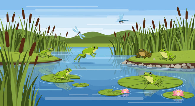 Lively green frogs leap and rest on lily pads within a vibrant pond ecosystem, surrounded by tall cattails and flying dragonflies.