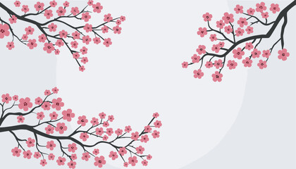 Fototapeta premium Beautiful pink cherry blossoms bloom on dark tree branches, creating a serene and elegant floral pattern on a soft light grey background.