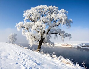 A frosted tree stands against a bright blue sky, overlooking a snowy landscape and a meandering river. The air is crisp
