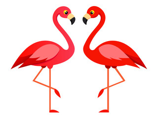 Obraz premium flamingo on white