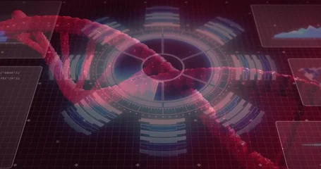 Fotobehang Vlees Twisting red-pink DNA double helix moving across virtual lab HUD, showing data panels  © vectorfusionart