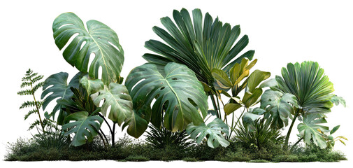 Collection of large, green monstera and fan-shaped tropical leaves with short grass