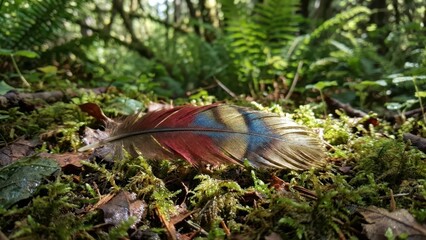 A colorful bird feather rests on the mossy ground in a lush forest setting, showcasing nature's delicate beauty and organic textures.