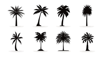 Obraz premium Collection of diverse black palm tree silhouettes, isolated on white. Tropical summer vacation, exotic beach island nature graphic design elements.