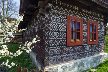 Cicmany village house white ornamental painting and spring blossom