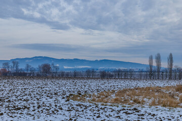 Winter landscape with snow covering a plowed field in Rymice