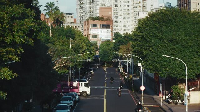 Urban traffic flow seen from pedestrian bridge, sunlight and tree shadows, city lifestyle.