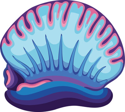 Portuguese man o war jellyfish marine animal
