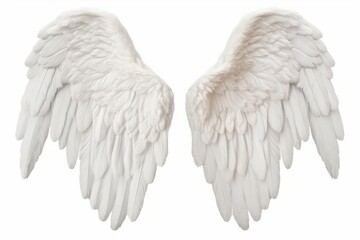Fototapeta premium White feathered angel wings symbolizing heaven, flight, and innocence against a clean background