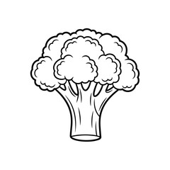 cauliflower vector illustration