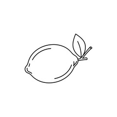 vector illustration of a green leaf