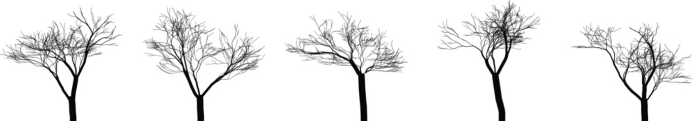 Obraz premium Set of bare trees without leaves in different shapes and sizes tree silhouettes for landscape design and architecture