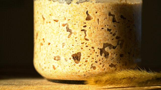 Close-up of fermenting rye sourdough with a bubbly texture, showcasing wild yeast in home baking. Starter in a glass jar with wheat stalk, demonstrating active yeast. Healthy fermented food commercial