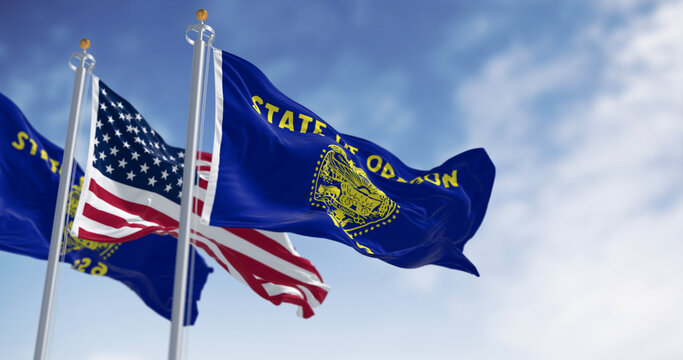 Oregon state flags waving in the wind with the american flags on a clear day