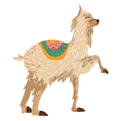 Fototapeta premium Llama animal illustration