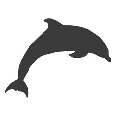 Dolphin tail flipper swimming silhouette © Vexels