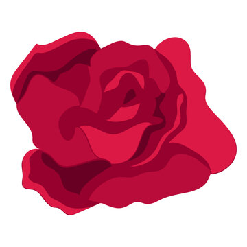 Rose flower bud petal flat