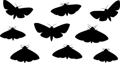 Collection of black butterfly and moth silhouettes on white background © PIXAVIVE