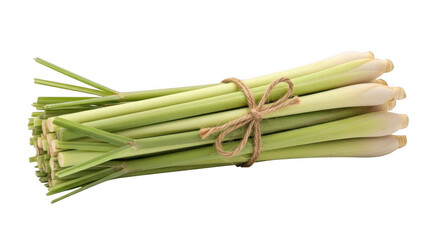 A bundle of fresh green sugarcane stalks displayed against a plain background