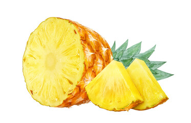 パイナップル イラスト リアル パイン