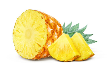 パイナップル イラスト リアル パイン