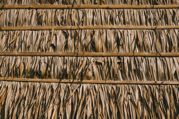 Dried palm leaves roof with bamboo sticks arranged horizontally for natural construction in warm climate © JK_kyoto