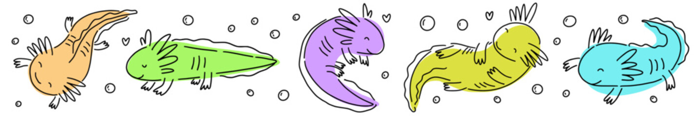 Horizontal vector collection of cute axolotls, hand drawn in doodle style.