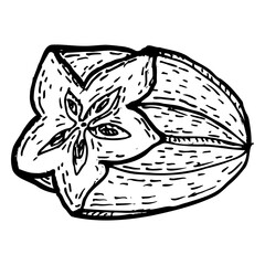 Half. of starfruit ink drawing vector illustration. Engraving line art sketch of exotic carambola. Outline hand drawn illustration isolated on transparent.