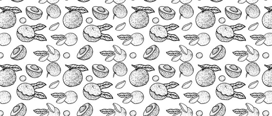 Seamless background with longan fruits. Halves and whole exotic fruits with bones. Longan pattern in vintage linear style, can used for wrap, food packaging, textile, cosmetic product designs.