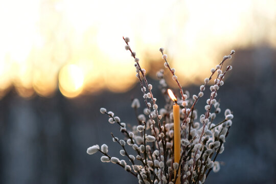pussy willow twigs and burning wax candle close up on sunny nature abstract background. symbol of Palm sunday, Easter holiday, Candlemas. orthodox Church, prayer, Lent, faith in God, religion concept