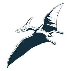 Drawn pterodactyl dinosaur © Vexels