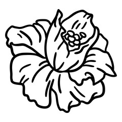 Fototapeta premium Garden flower stroke