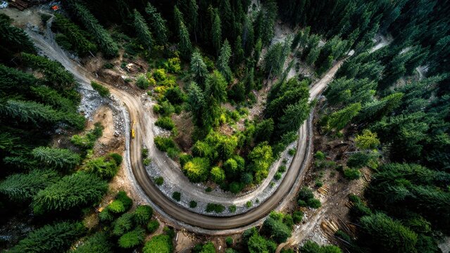 Drone shot looking down on a hairpin turn dirt road surrounded by dense pine forest and construction site