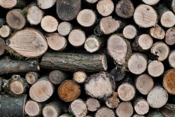 Stacked Firewood Logs Background with Natural Wood Texture