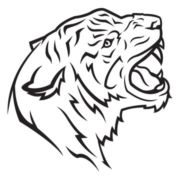 Tiger head side view stroke