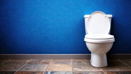 Clean White Toilet in a Bathroom with Blue Wall and Tiled Floor.