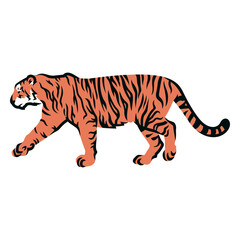 Fototapeta premium Tiger walking filled stroke