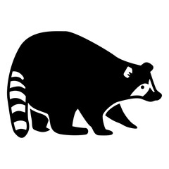 Obraz premium Raccoon wild animal cut-out