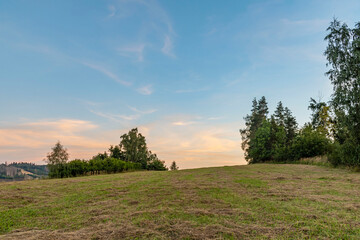 Fototapeta premium colorful summer sunset on meadow