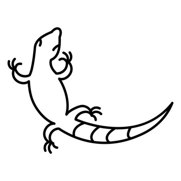 Gecko animal line art