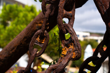 Rusty chain links hang from a tree branch in a garden setting. Bright flowers grow near the base. A city skyline is visible in the background. The scene occurs during daylight hours