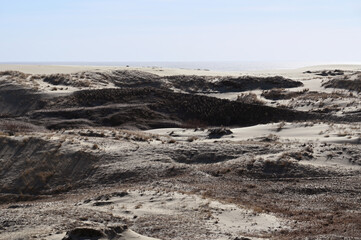 Landscape of the Curonian Spit, Kaliningrad region, Russian Federation