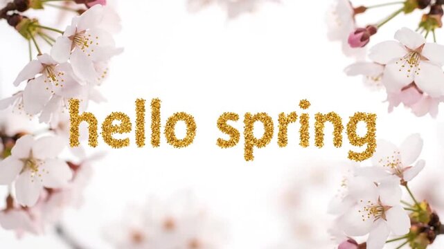 Golden glitter text hello spring appearing and forming with cherry blossom frame design as a seasonal greeting