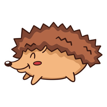 Little hedgehog cute