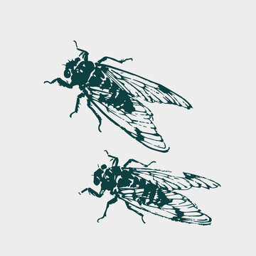 japanese chinese vector ink traditional asian design isolated
