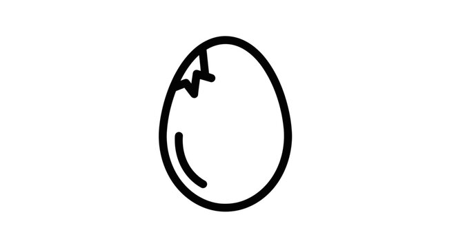 Close-up of a Single Egg with Natural Textures and Subtle Shadows for Food Photography