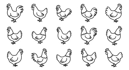 Fototapeta premium Collection of 15 Simple Hand-Drawn Rooster Line Art Illustrations for Creative Design